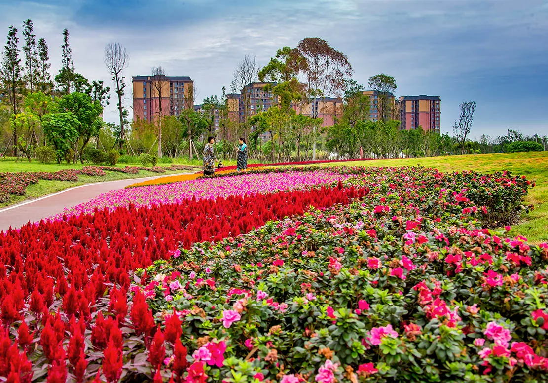 天府芙蓉园实景(3)