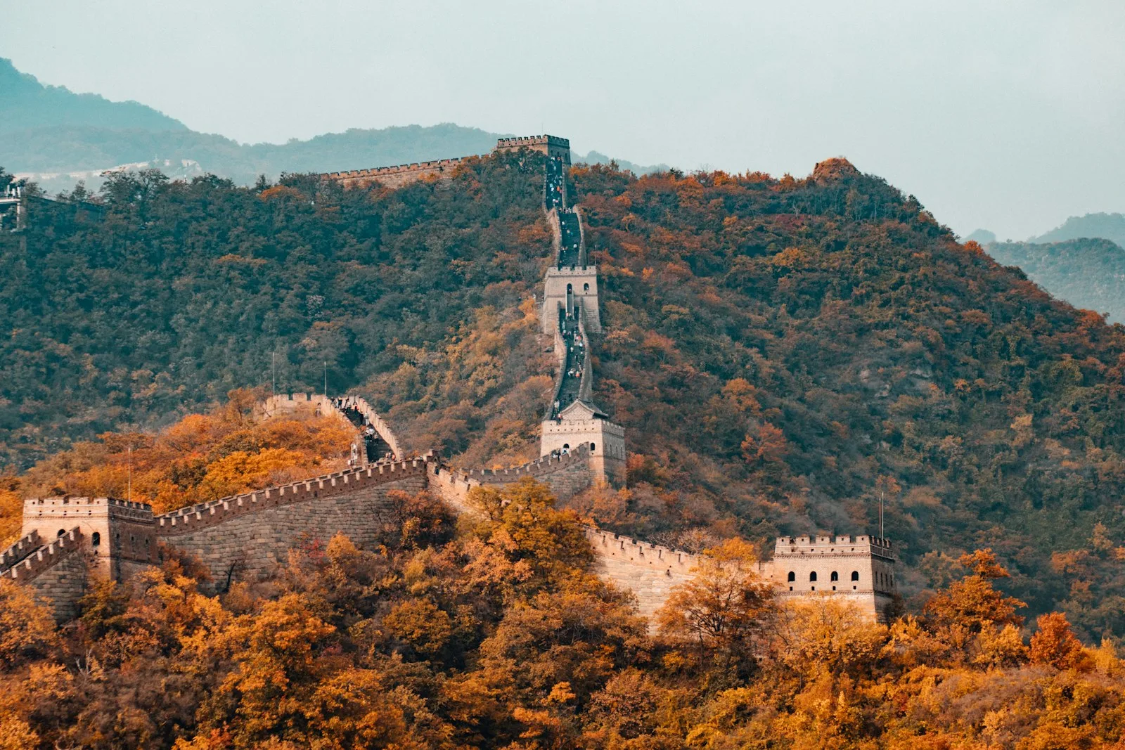 北外滩滨江绿地 - 林荫步道与游览小径