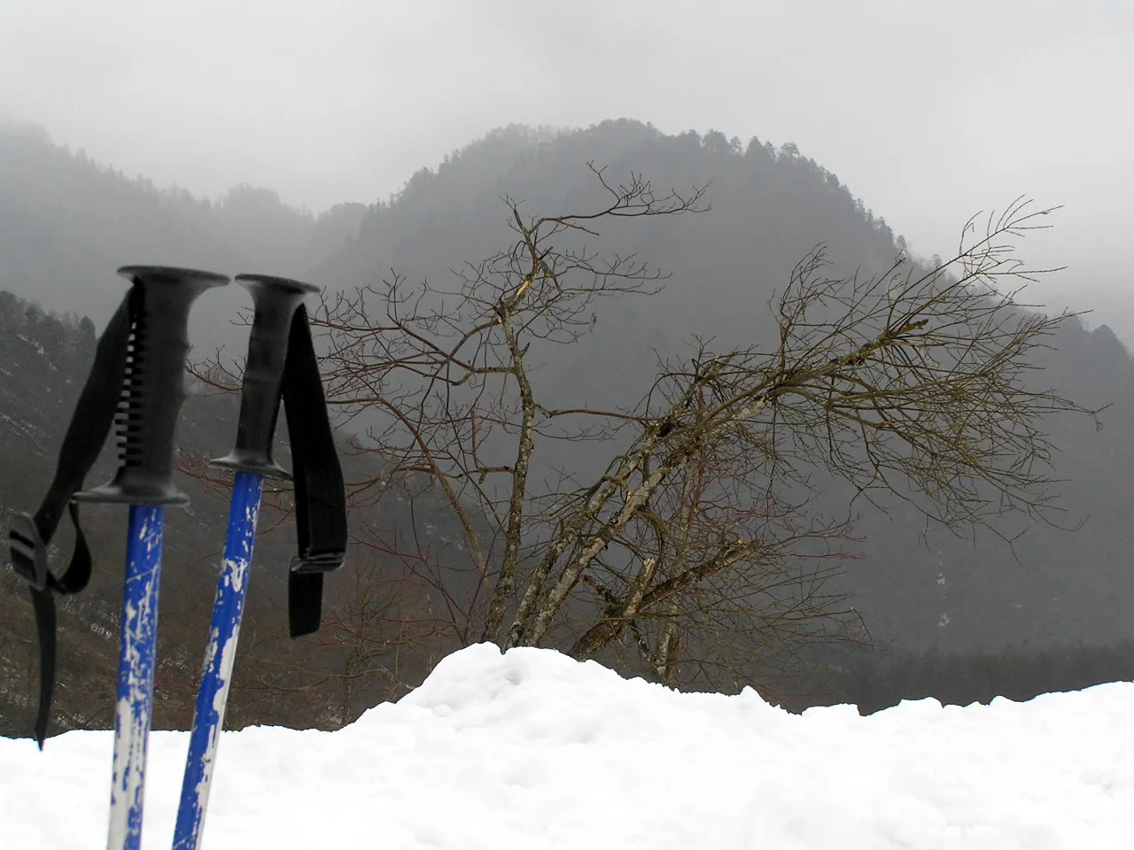 西岭雪山 - panoramio