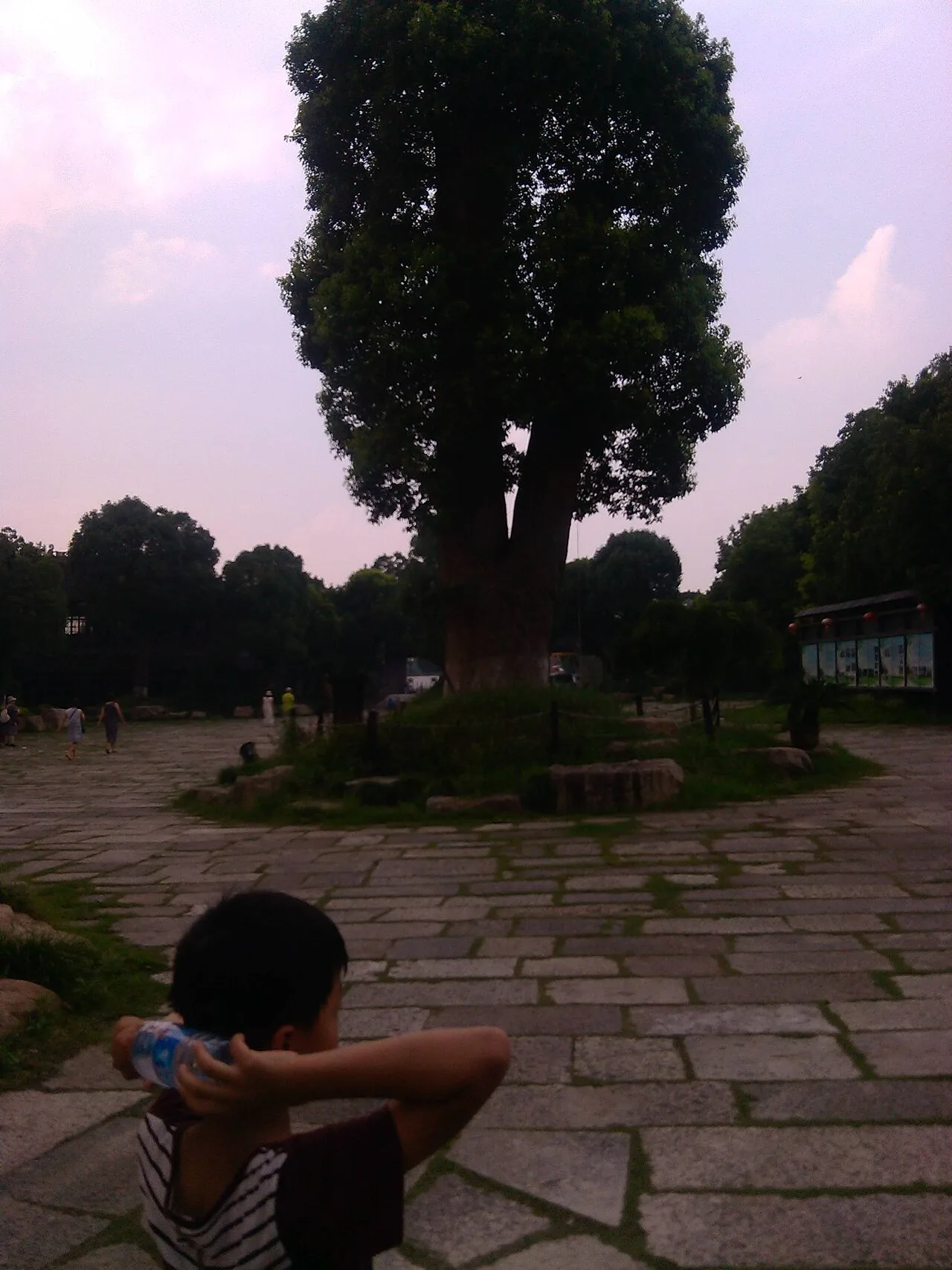 Minhang, Shanghai, China - panoramio (6)