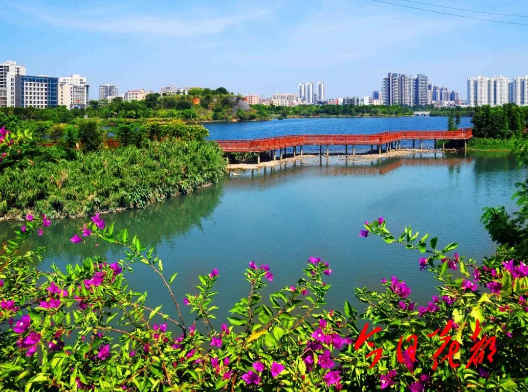 花都湖:荒蛮滩涂的逆袭