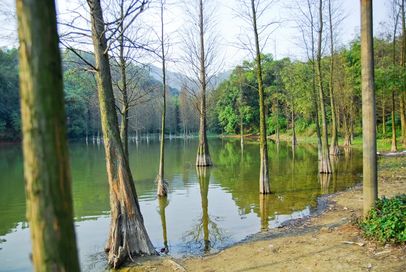 白云山黄婆洞水库Scenery in Guangzhou, China - panoramio (5)