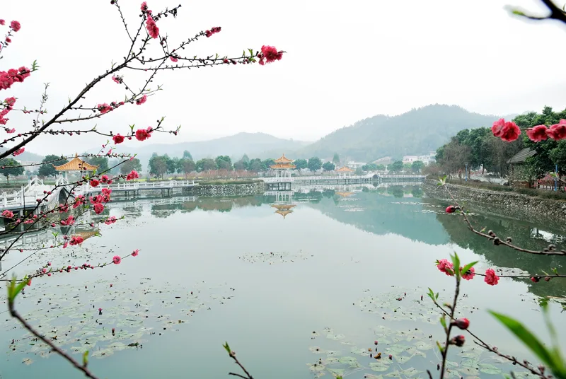 广州最美乡村—红山村 - panoramio