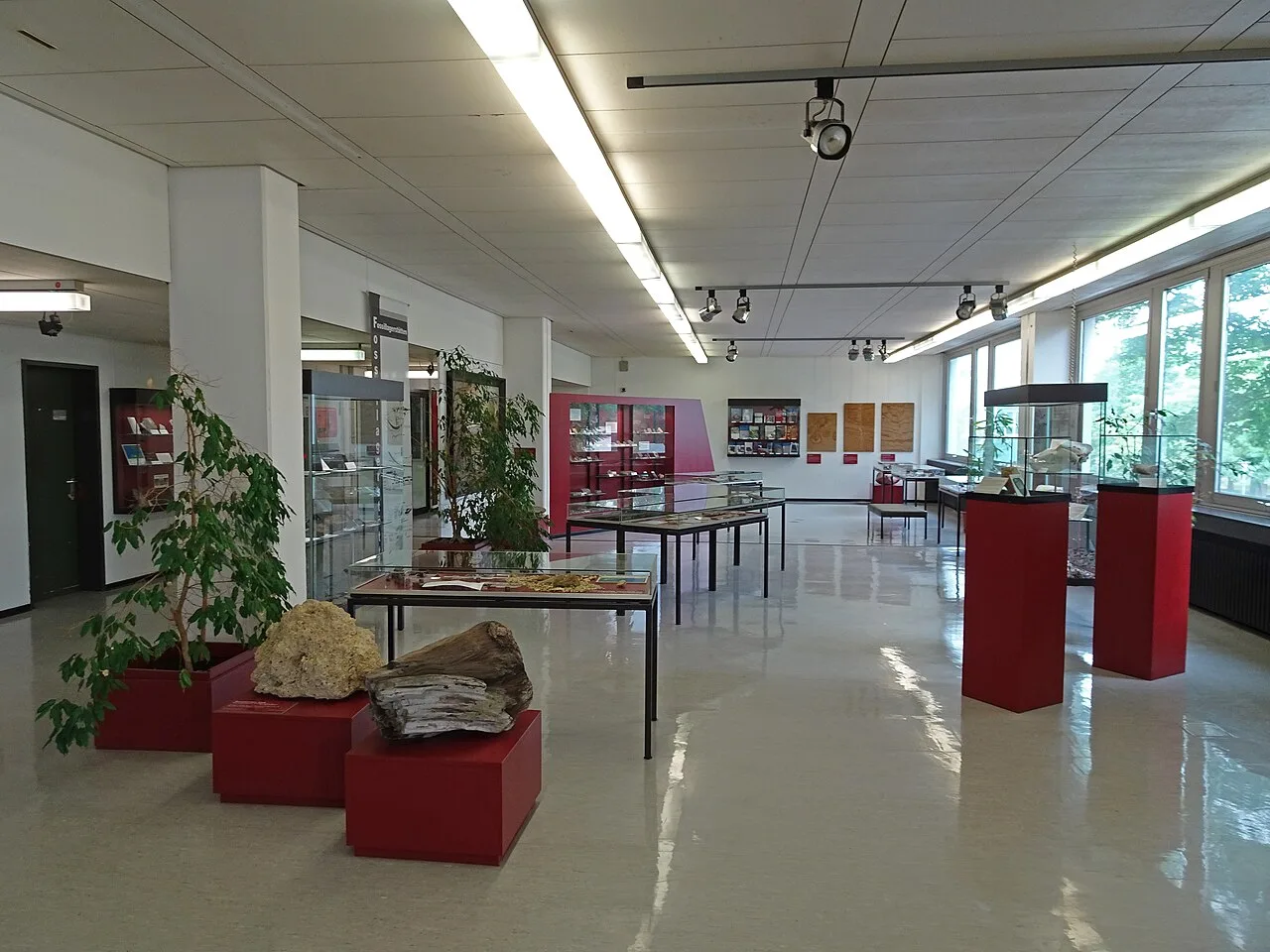 Geoscience Museum Göttingen Exhibition room1