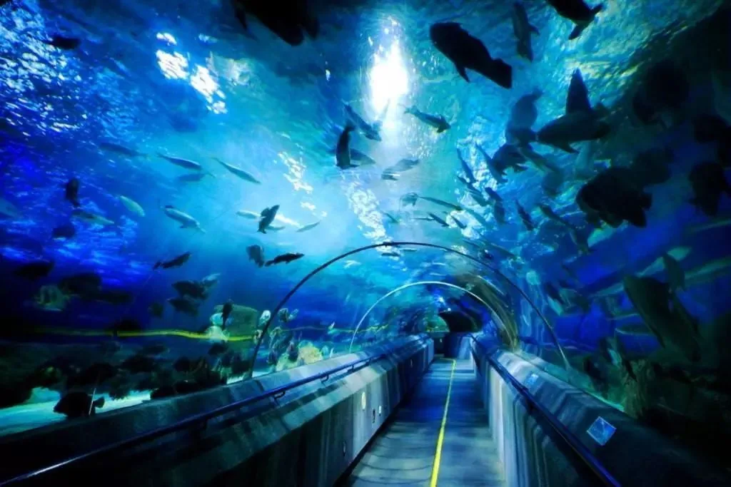 成都海昌极地海洋世界实景