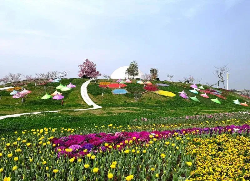 蔚然花海实景