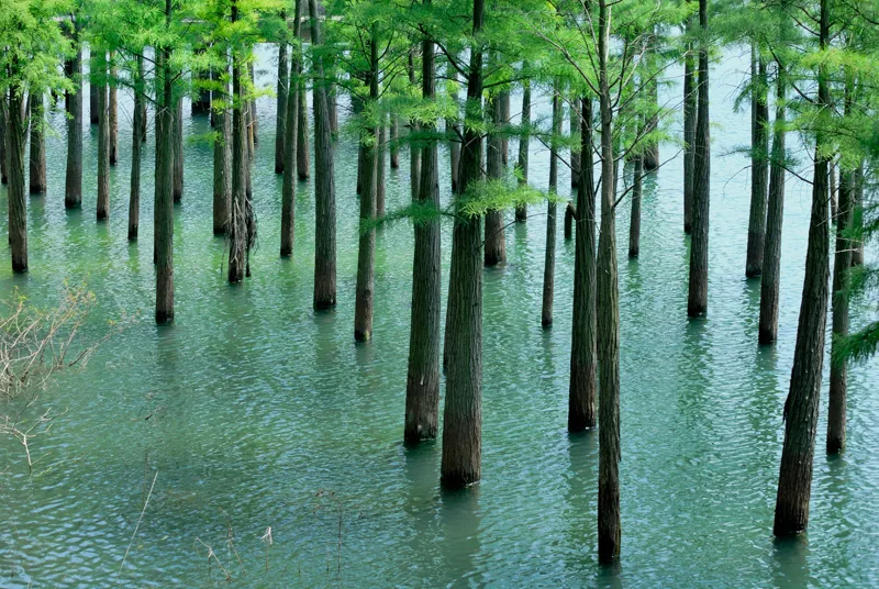 花都王子山Scenery in Guangzhou, China - panoramio