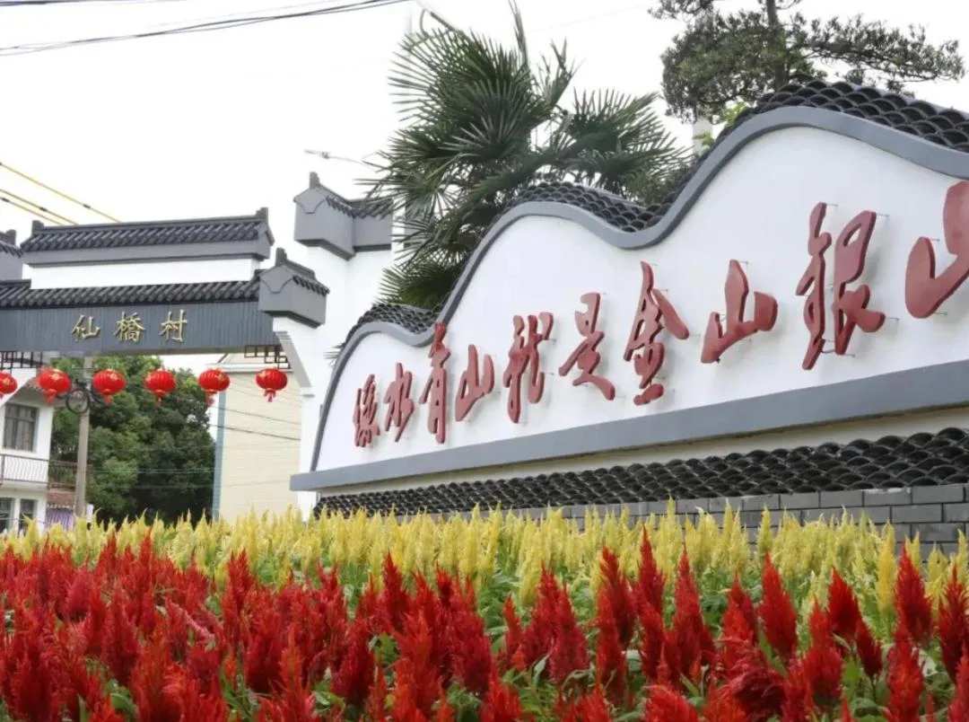 美丽乡村·上海仙桥村:给你一个重新爱上生活的理由! 洛阳网