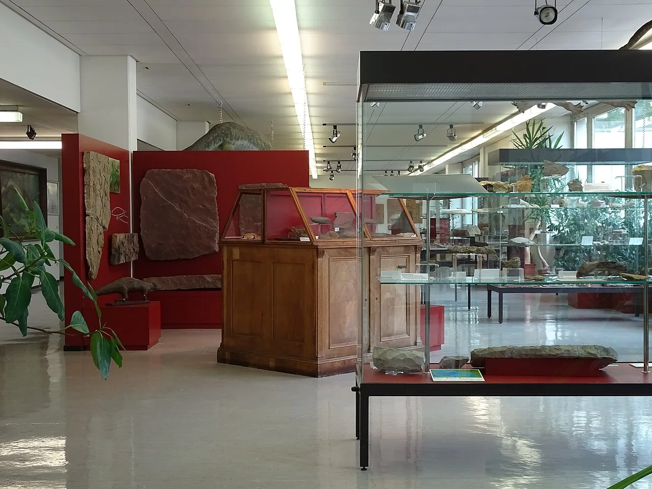 Geoscience Museum Göttingen Exhibition room2