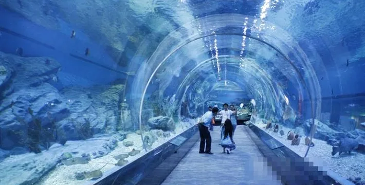 成都海昌极地海洋公园