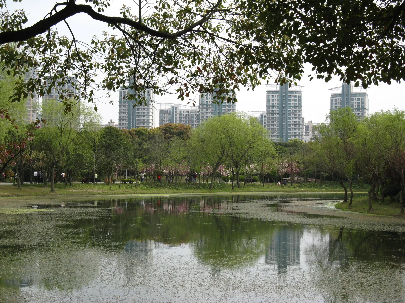 2011 Century Park 1