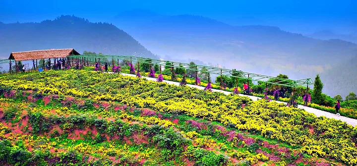 玉皇养生谷实景(2)