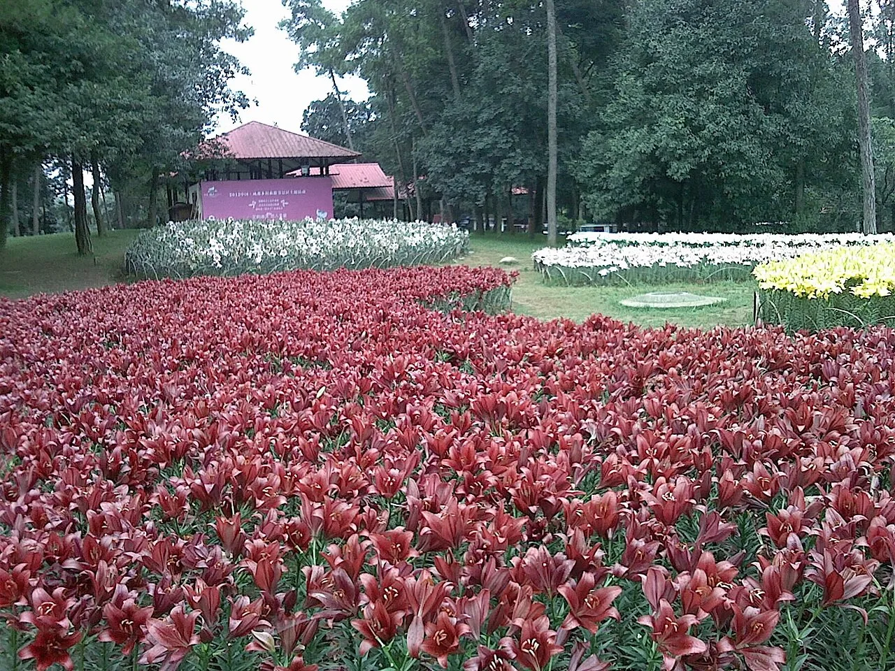 欧洲的春天 石象湖 20120930 刘祖赛 - panoramio (9)