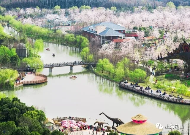 宝山旅游景区实景(3)