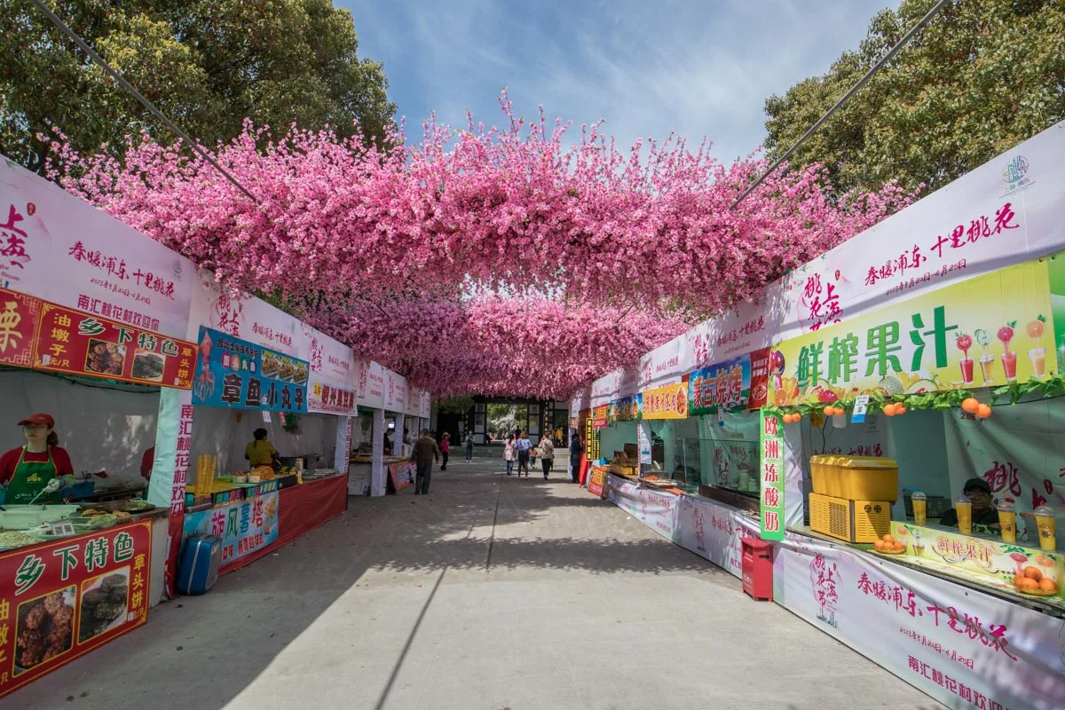 【上海南汇桃花村4摄影图片】风光摄影 太平洋电脑网摄影部落