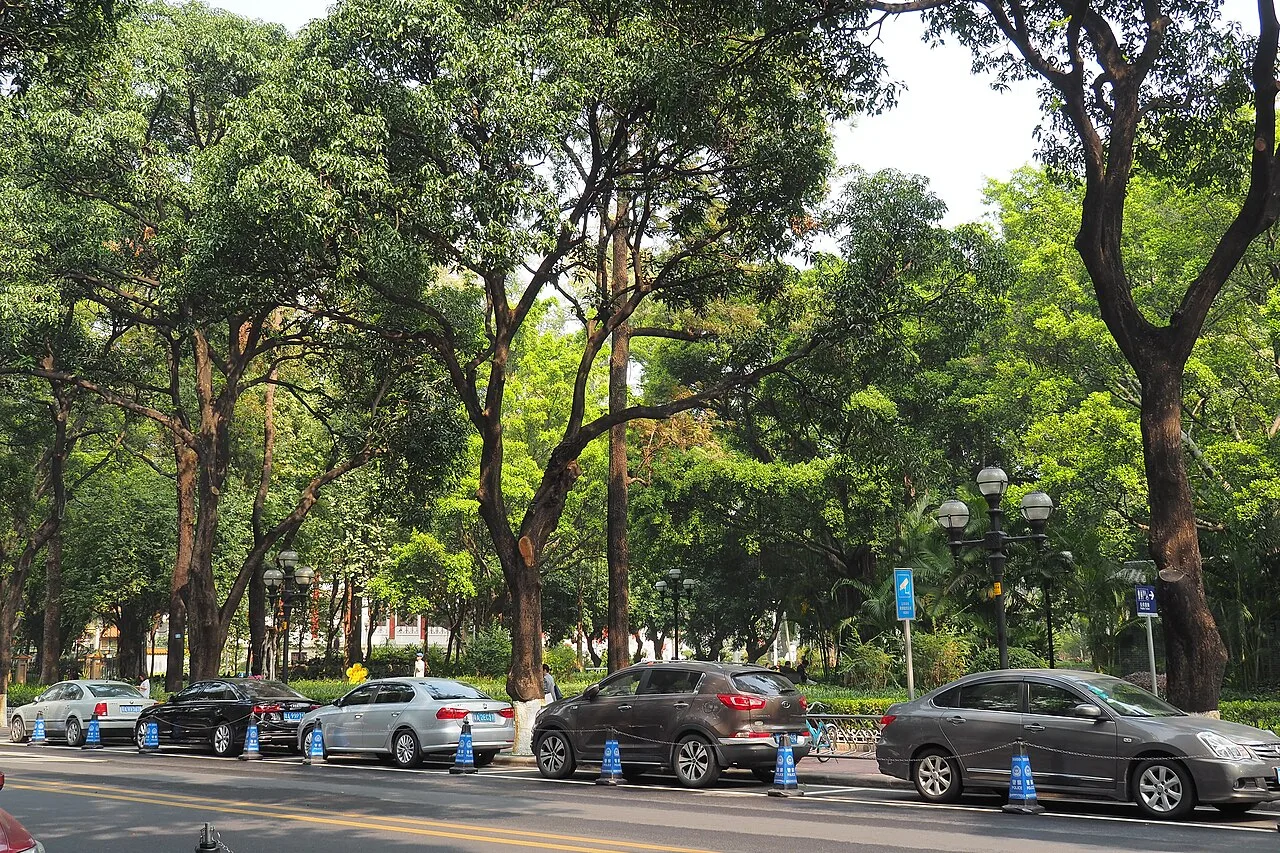 Guangzhou Renmin Gongyuan 20180122.131933