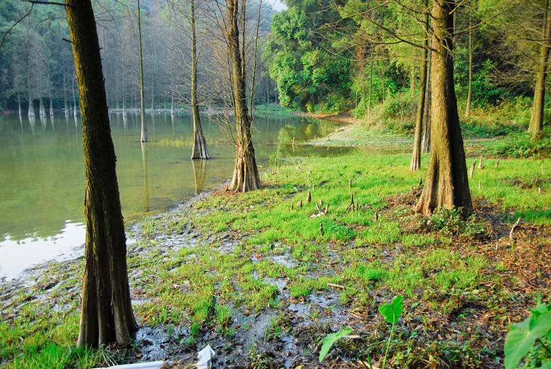 白云山黄婆洞水库Scenery in Guangzhou, China - panoramio (6)