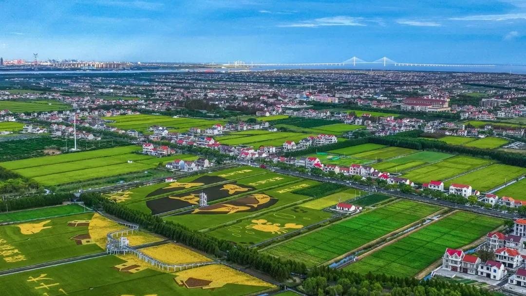 旅游目的地 | 横沙岛,上海最后的处女地 – 上海旅游产业博览会