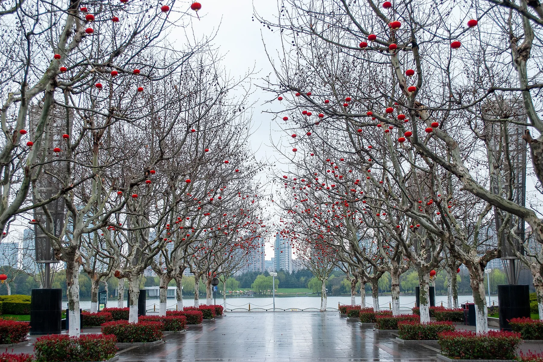 Century Park 002