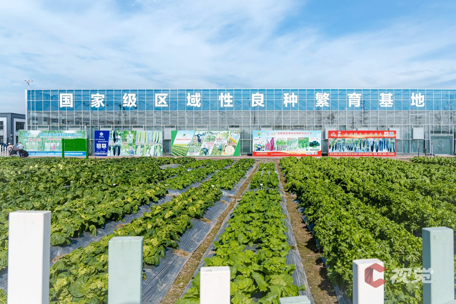 天府蔬香博览园实景(3)