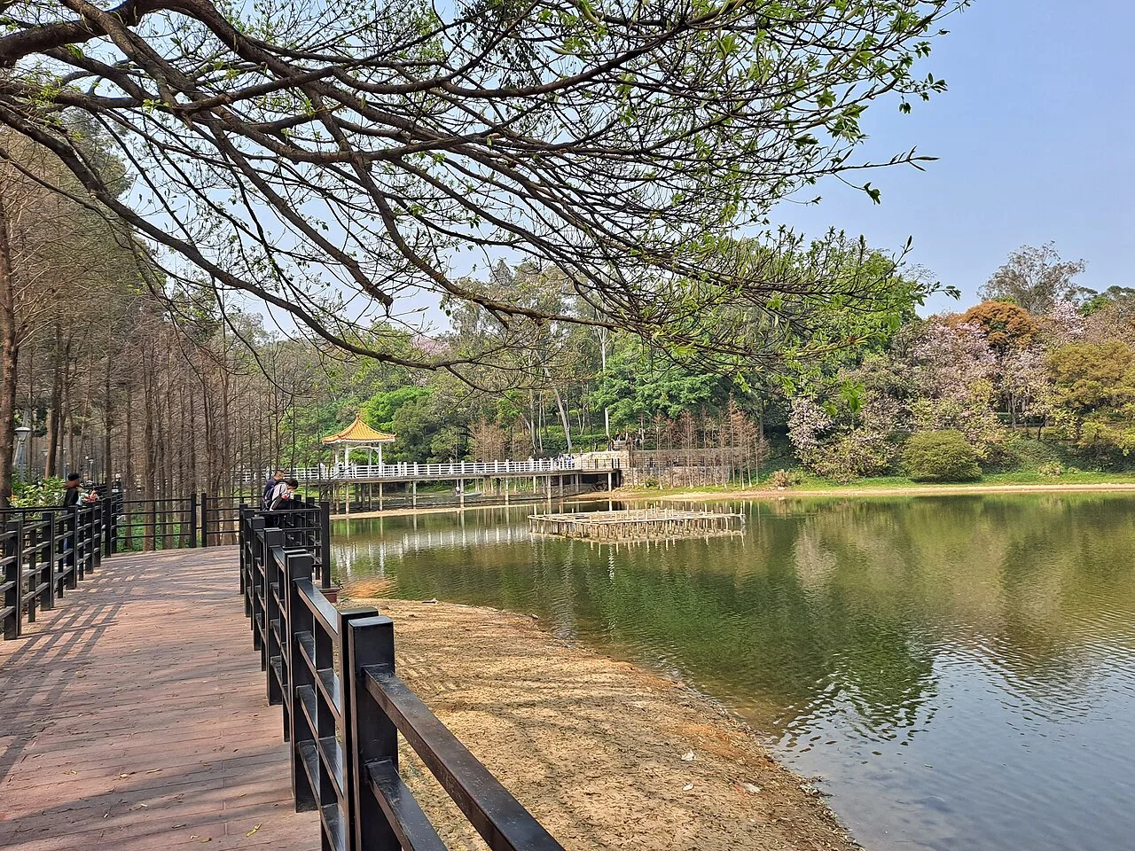 Luhu Park 7