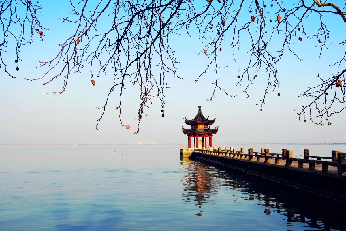 太湖东山茶园
