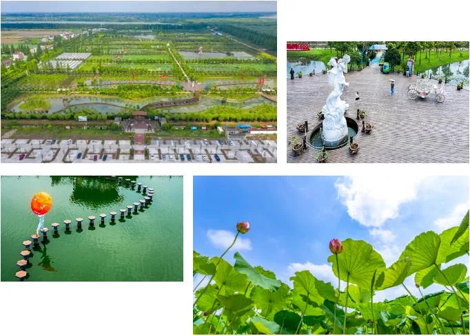 上海130家A级景区,数一数侬逛过几家? 澎湃号·湃客 澎湃新闻-The