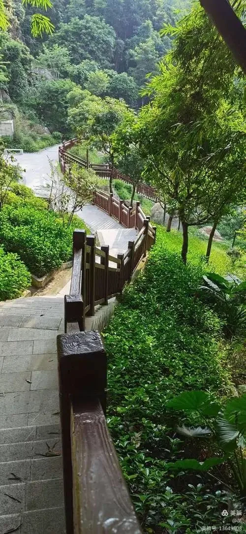 广州天鹿湖森林公园游玩攻略简介,广州天鹿湖森林公园门票/地址/图片/开放时间/照片/门票价格【携程攻略】