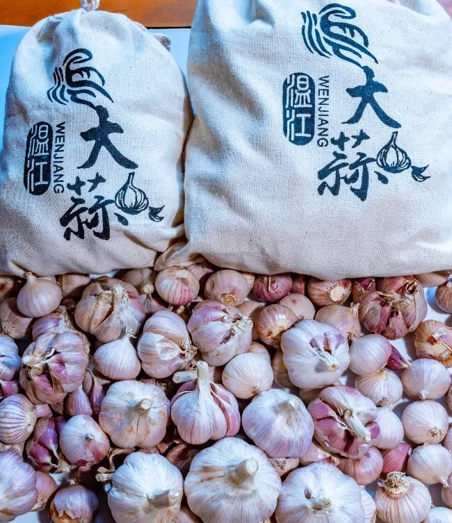 温江大蒜