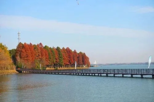 西沙明珠湖景区成功创建“国家5A”,底气何在?- 上海市崇明区人民政府