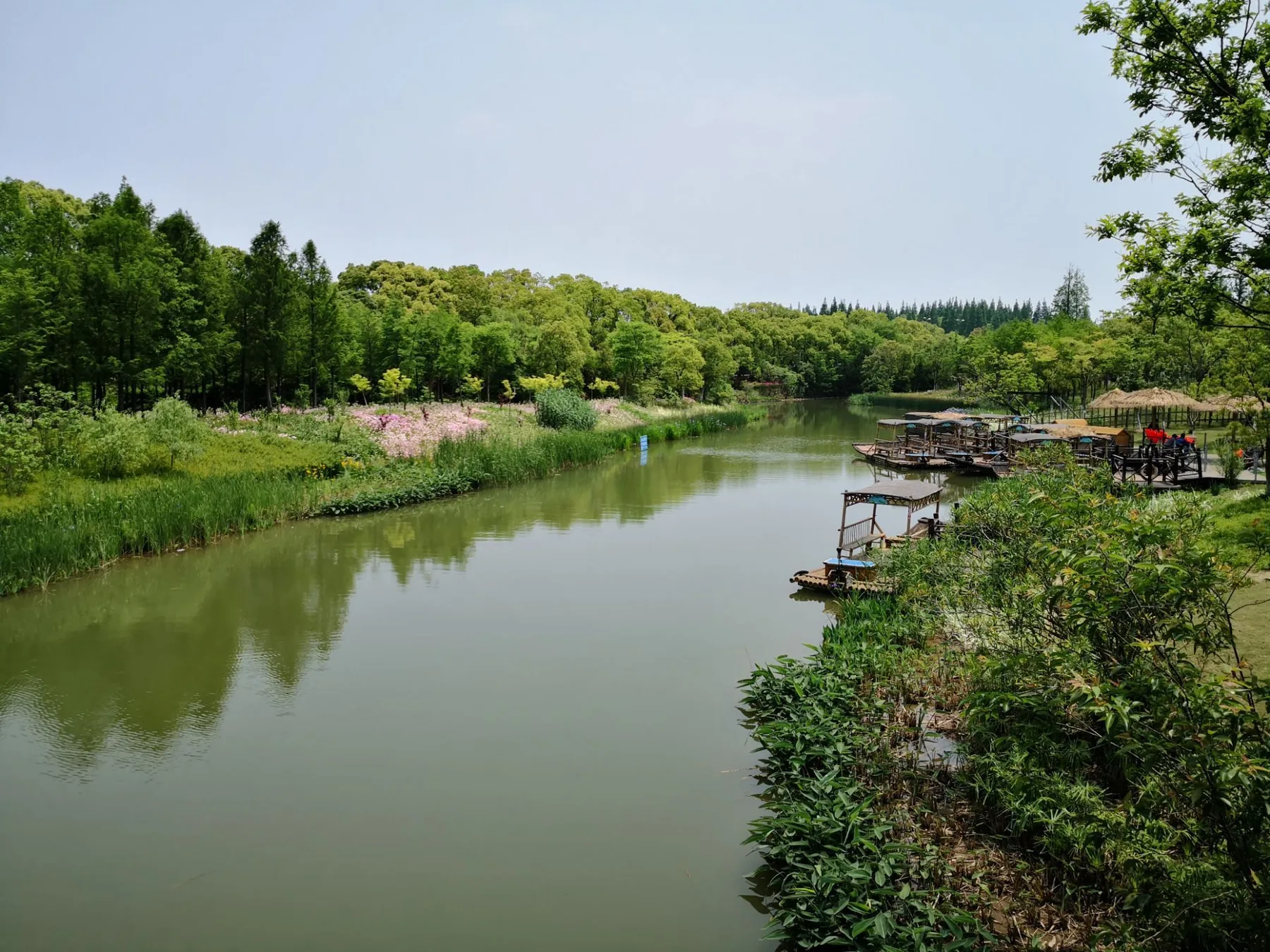 法式玫瑰与崇明特色菜融合,长兴岛郊野公园花季开启迎五一 城生活 新民网