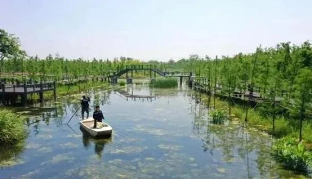 上海最新130家A级景区全名单来了!数数你都去过几家? 澎湃号·政务 澎湃新闻-The
