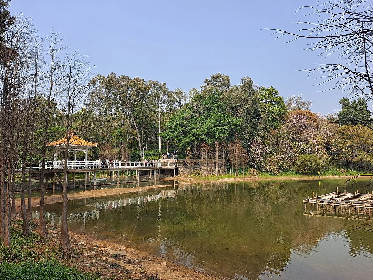 Luhu Park 5