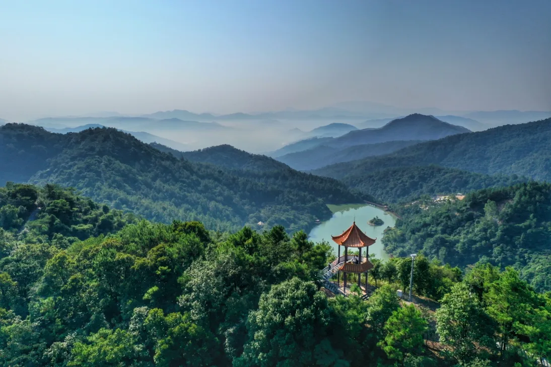 白江湖森林公园实景
